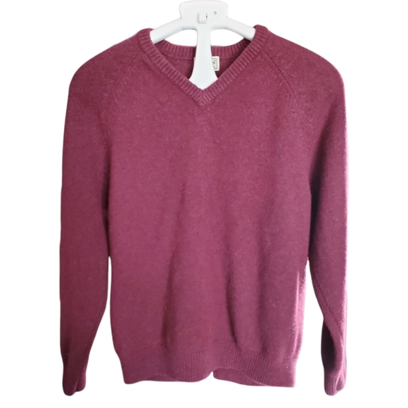 L.L. Bean Other - L.L. Bean V-neck Sweater